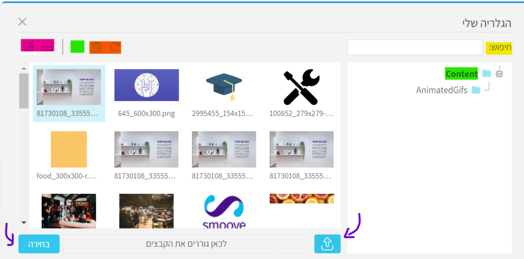 Screenshot-2022-10-29-142330-1-1030x510.png